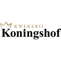 Koningshof logo